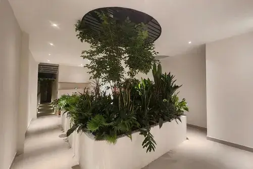 Bán nhà Nguyễn Hữu Cảnh Bình Thạnh, 5m x 23m 5 Tầng Thang máy, Xe hơi
