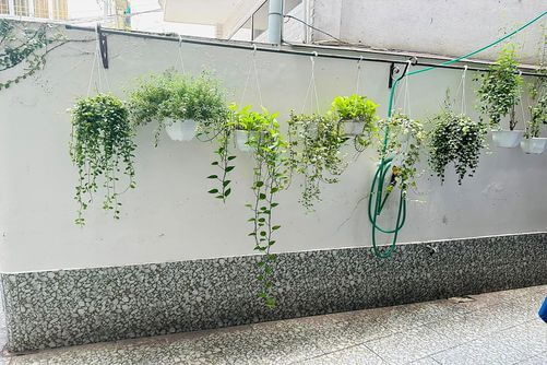 Bán nhà Nguyễn Văn Đậu Bình Thạnh, Phường 5, 93m² ngang 11m 3 Tầng